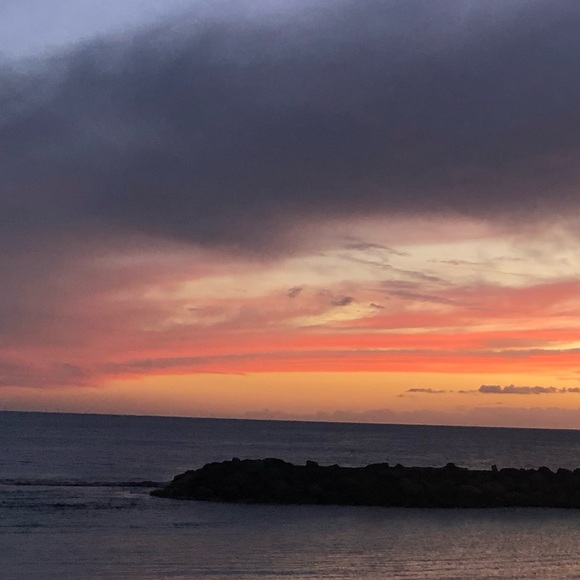 Meet your Posher, Marisa - Picture 1 of 1